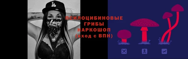 марки lsd Алзамай